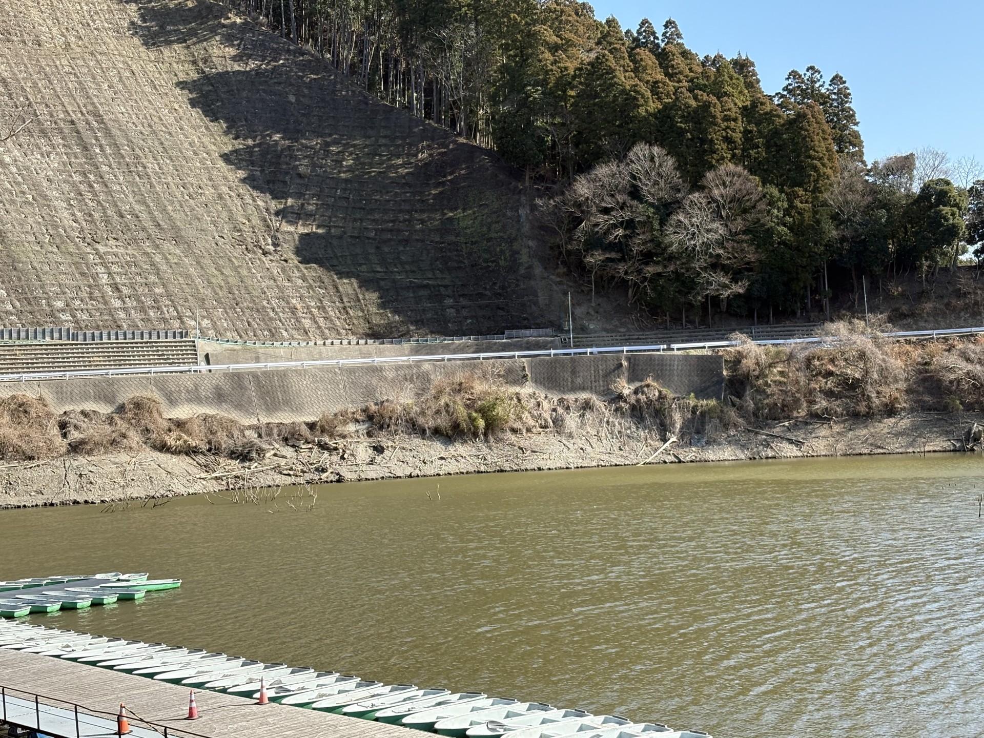 戸面原ダム 戸面原ダムボートセンターの2026年1月13日のイメージ