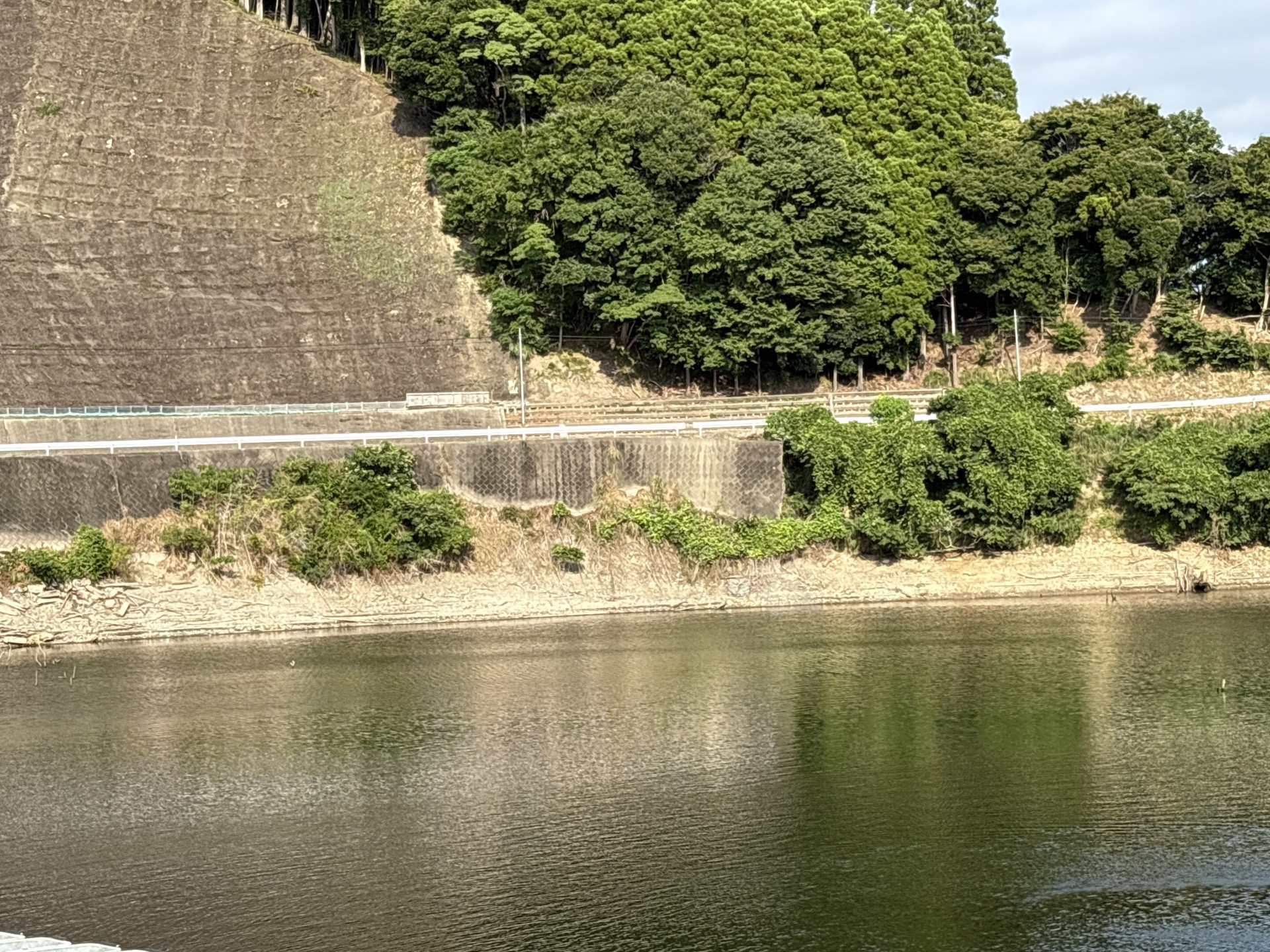 戸面原ダム 戸面原ダムボートセンターの2025年8月14日のイメージ