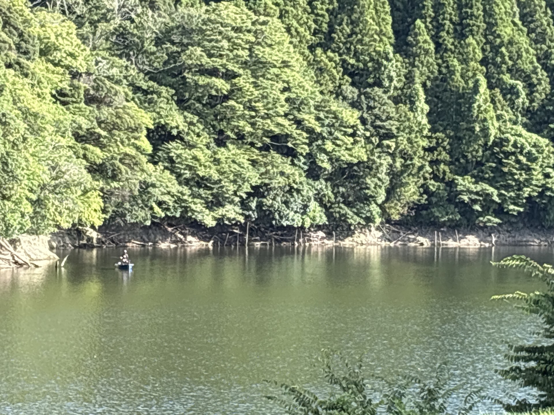 戸面原ダム 戸面原ダムボートセンターの2025年8月8日のイメージ