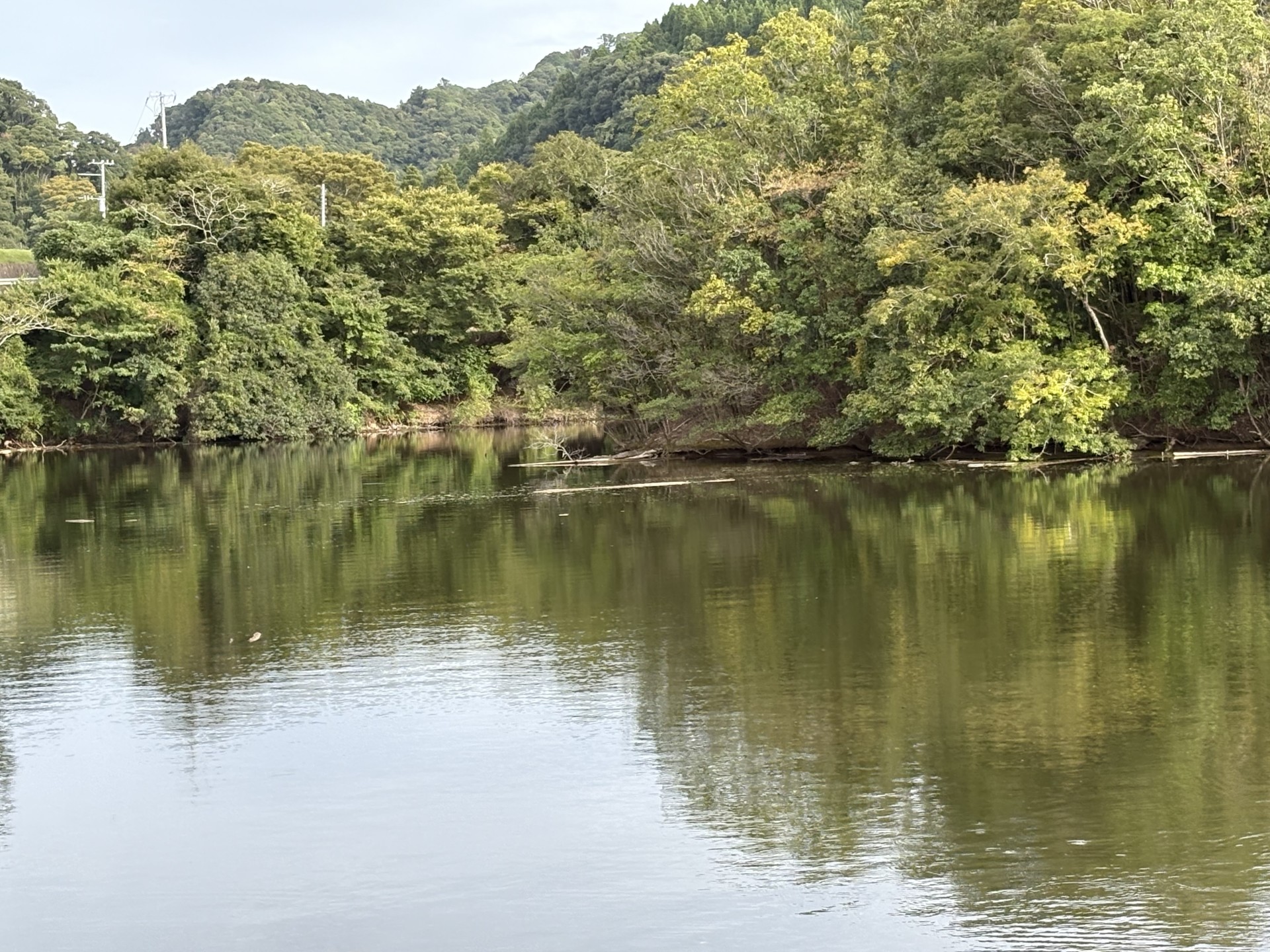 戸面原ダム 戸面原ダムボートセンターの2025年10月8日のイメージ