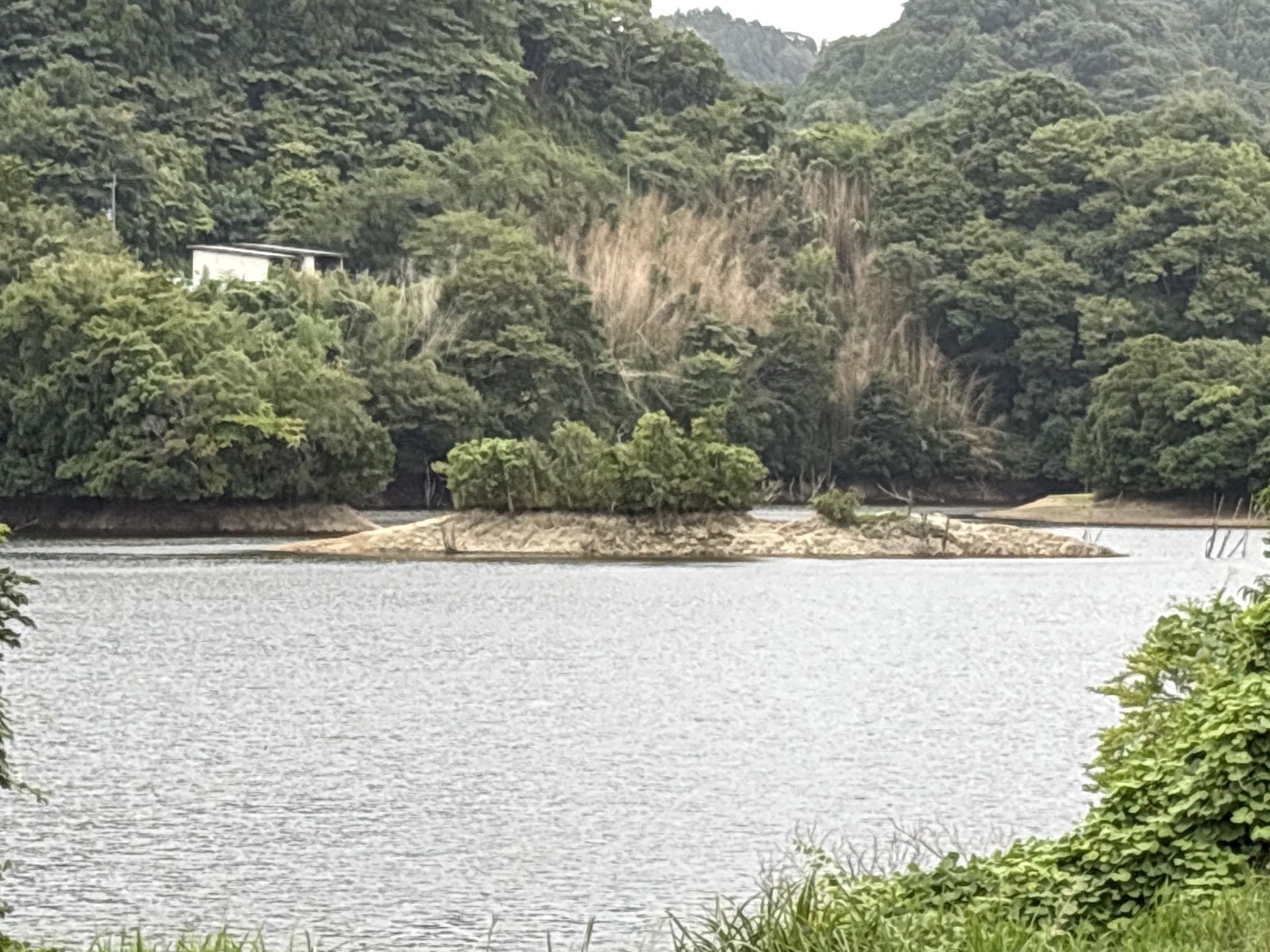 戸面原ダム 戸面原ダムボートセンターの2025年8月12日のイメージ