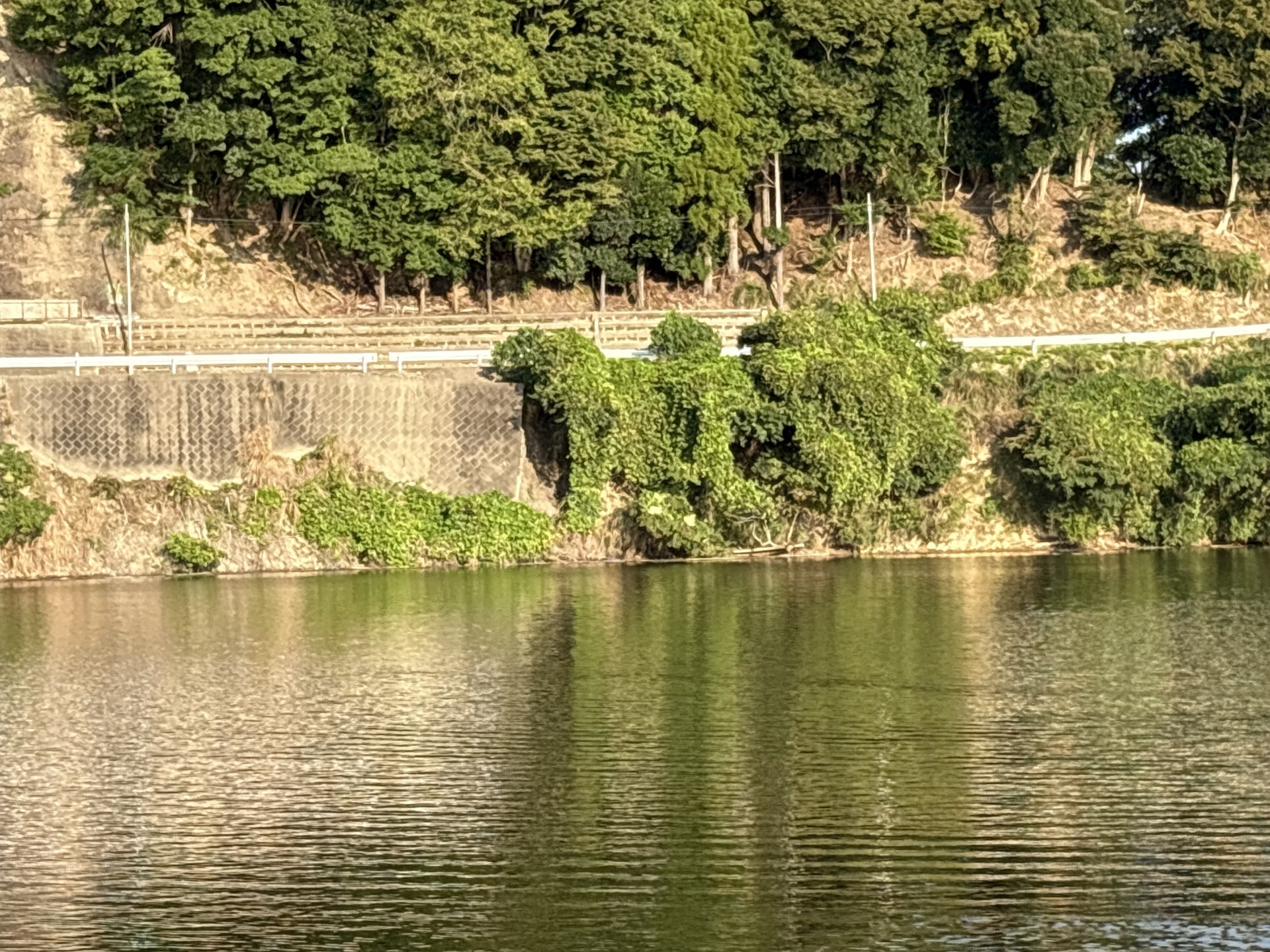 戸面原ダム 戸面原ダムボートセンターの2025年9月27日のイメージ