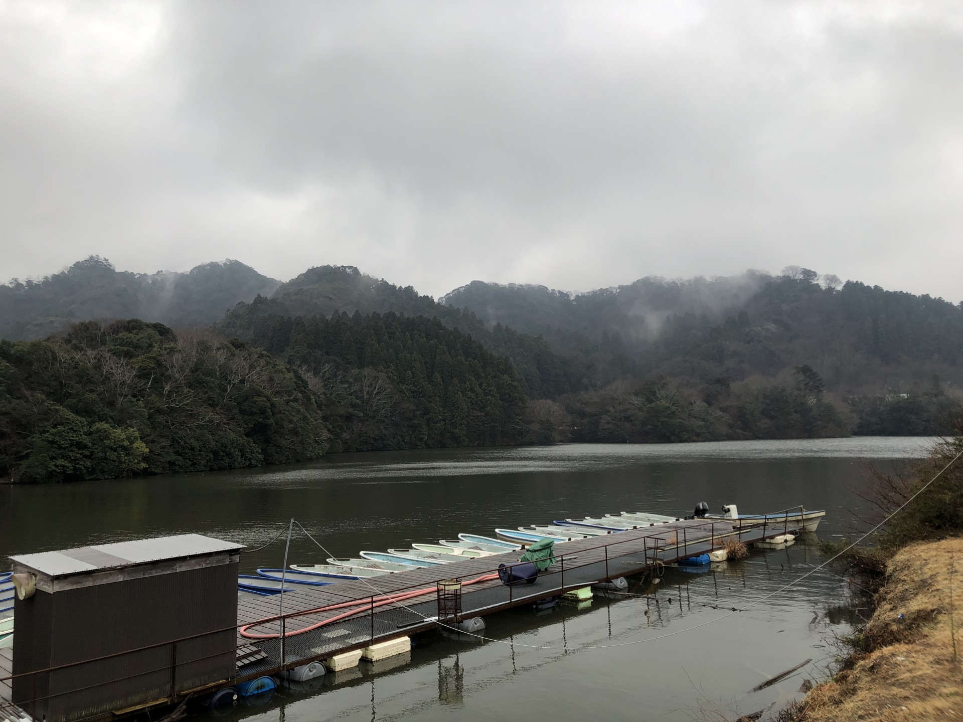 戸面原ダム 戸面原ダムボートセンターの2025年2月2日のイメージ