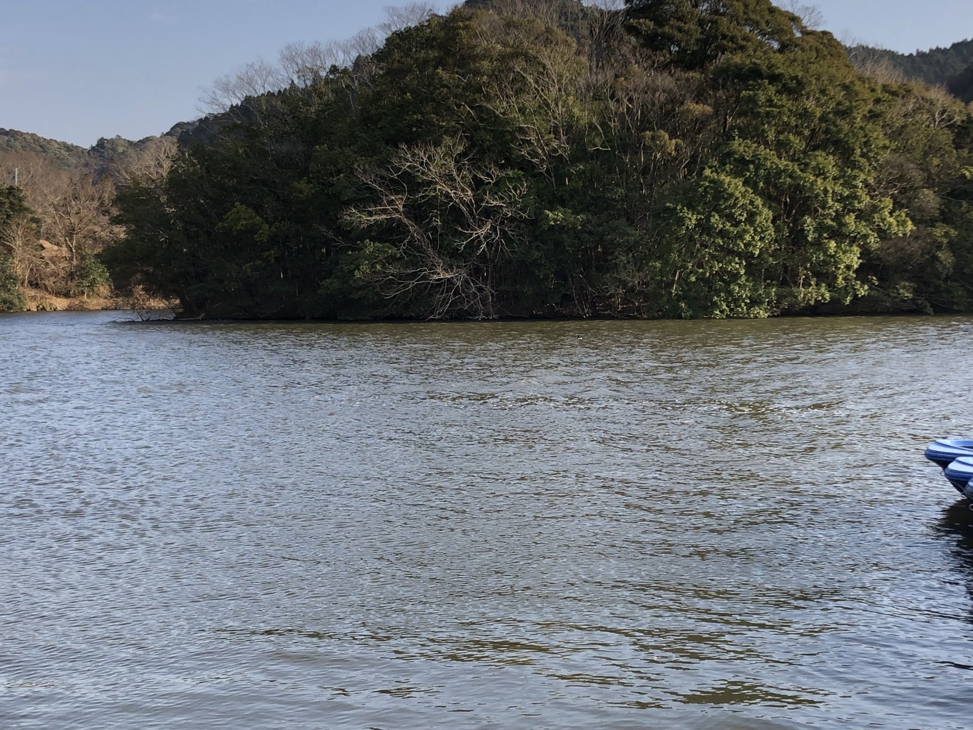 戸面原ダム 戸面原ダムボートセンターの2025年1月15日のイメージ