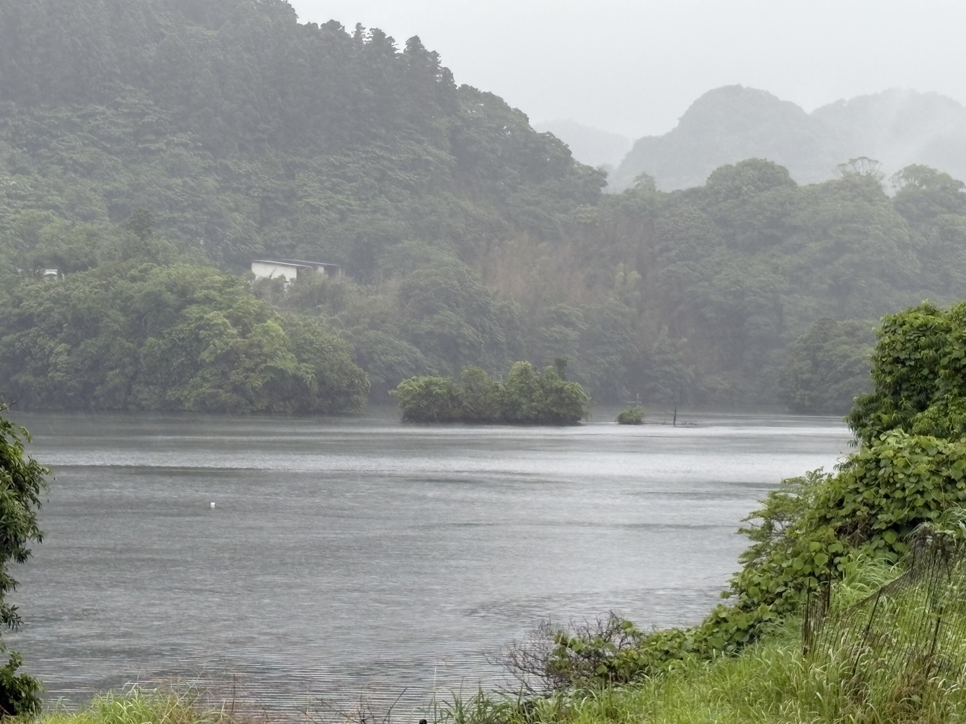 戸面原ダム 戸面原ダムボートセンターの2025年6月3日のイメージ