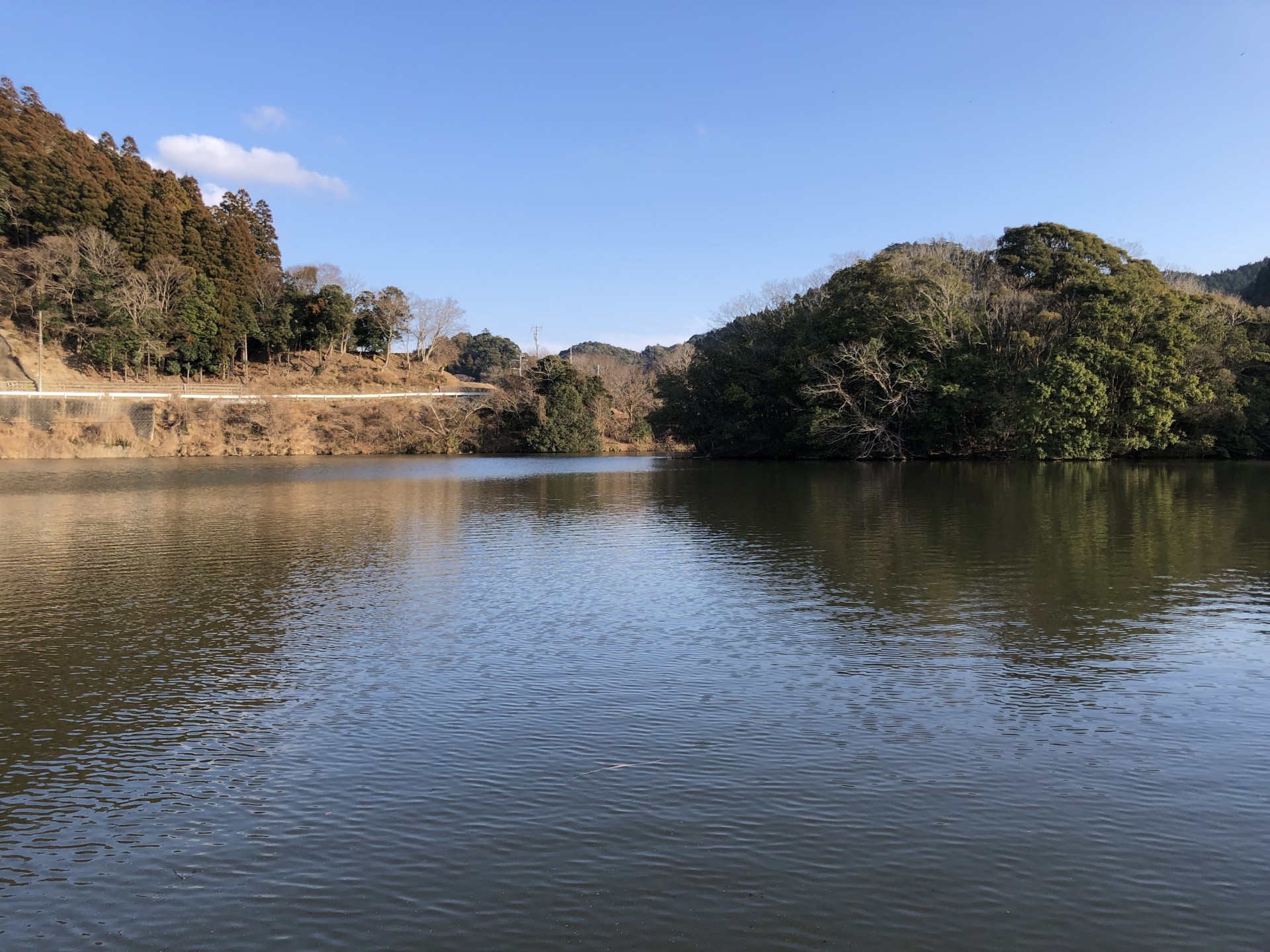 戸面原ダム 戸面原ダムボートセンターの2025年1月21日のイメージ