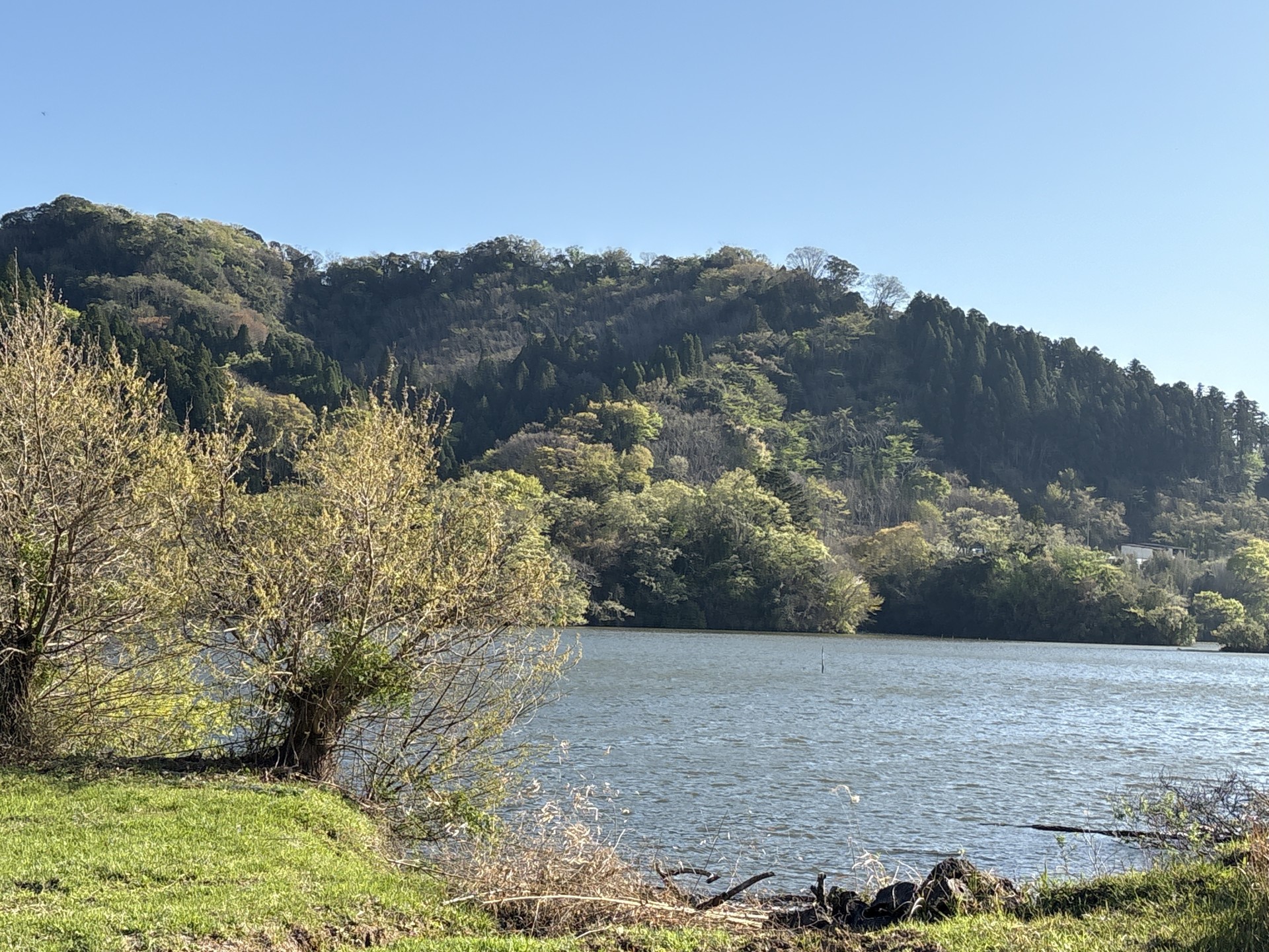 戸面原ダム 戸面原ダムボートセンターの2025年4月16日のイメージ