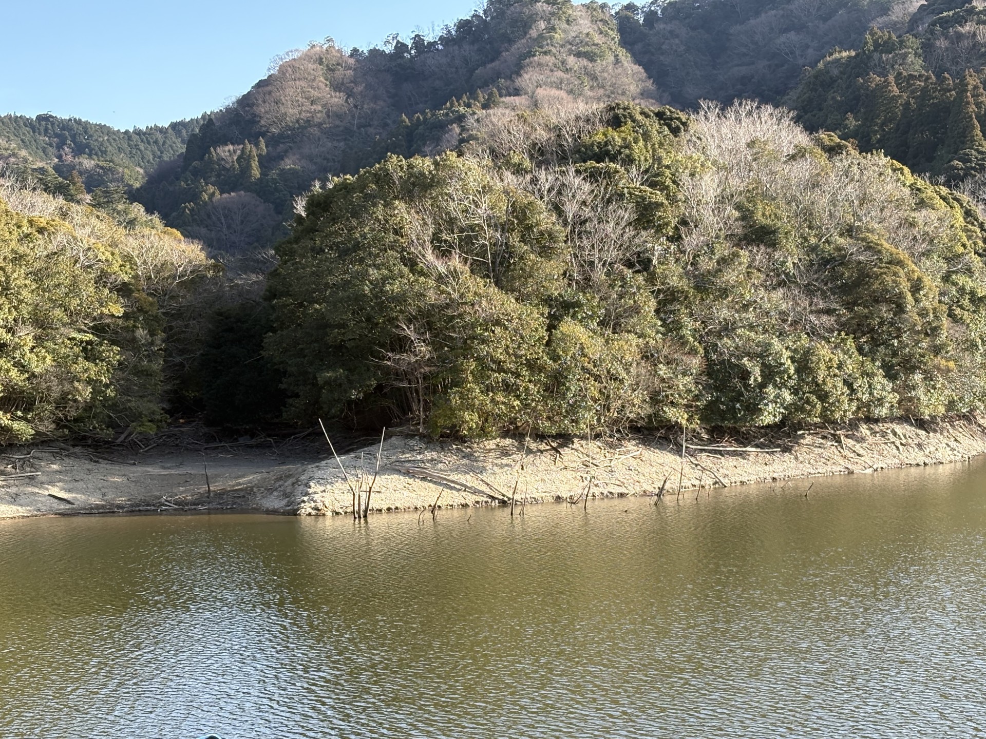 戸面原ダム 戸面原ダムボートセンターの2026年2月4日のイメージ