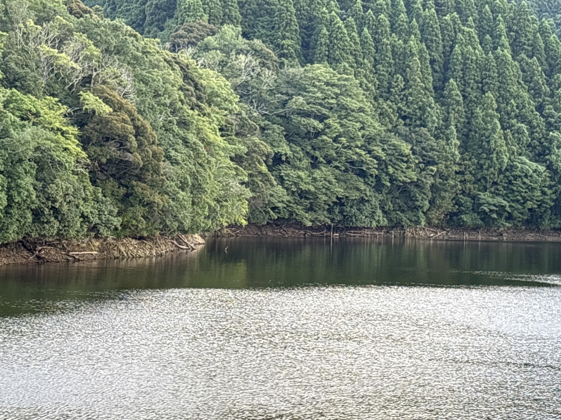 戸面原ダム 戸面原ダムボートセンターの2025年8月2日のイメージ