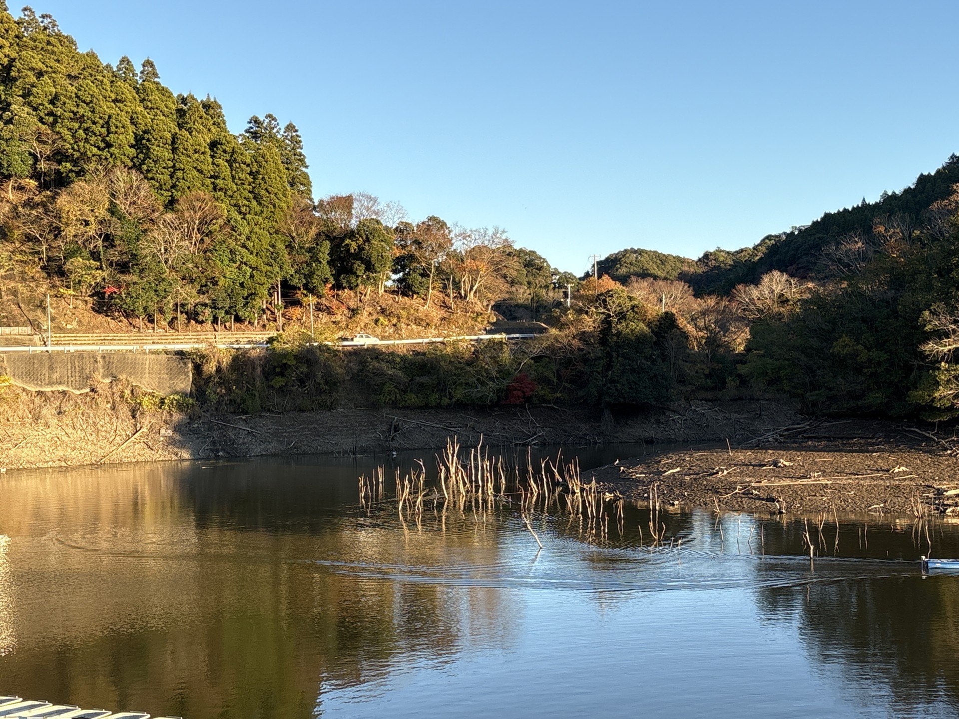戸面原ダム 戸面原ダムボートセンターの2025年12月15日のイメージ