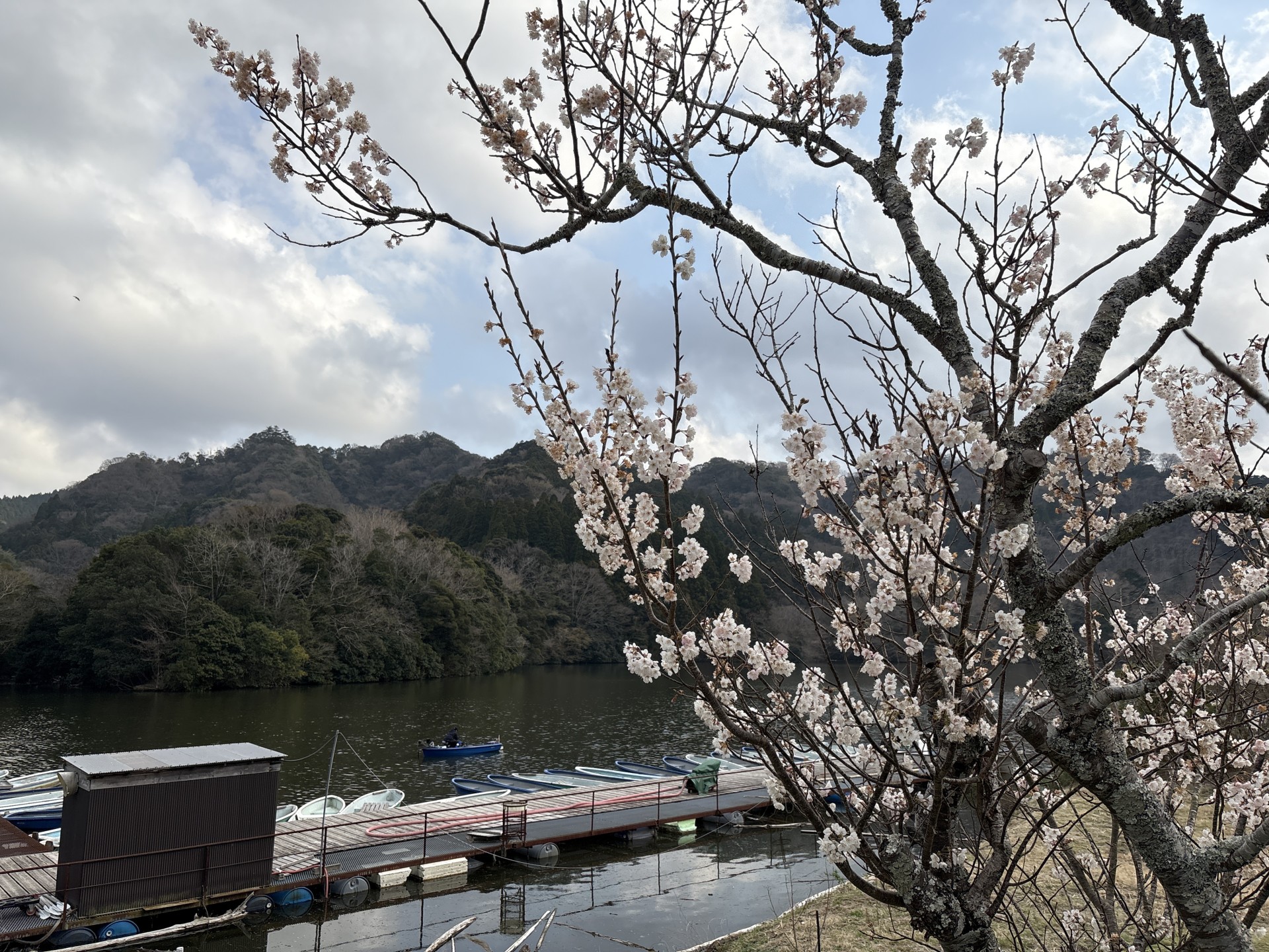 戸面原ダム 戸面原ダムボートセンターの2025年3月24日のイメージ