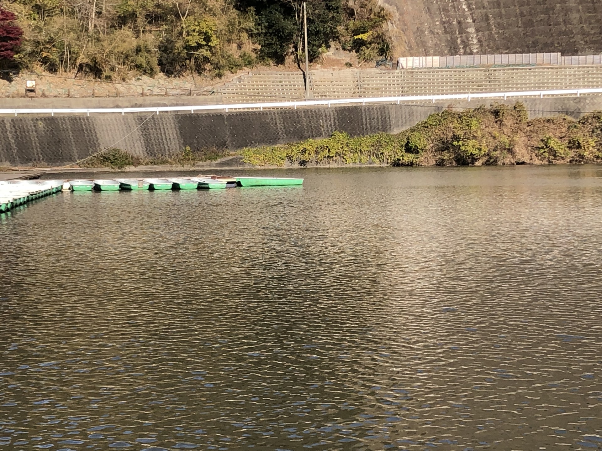 戸面原ダム 戸面原ダムボートセンターの2024年12月20日のイメージ