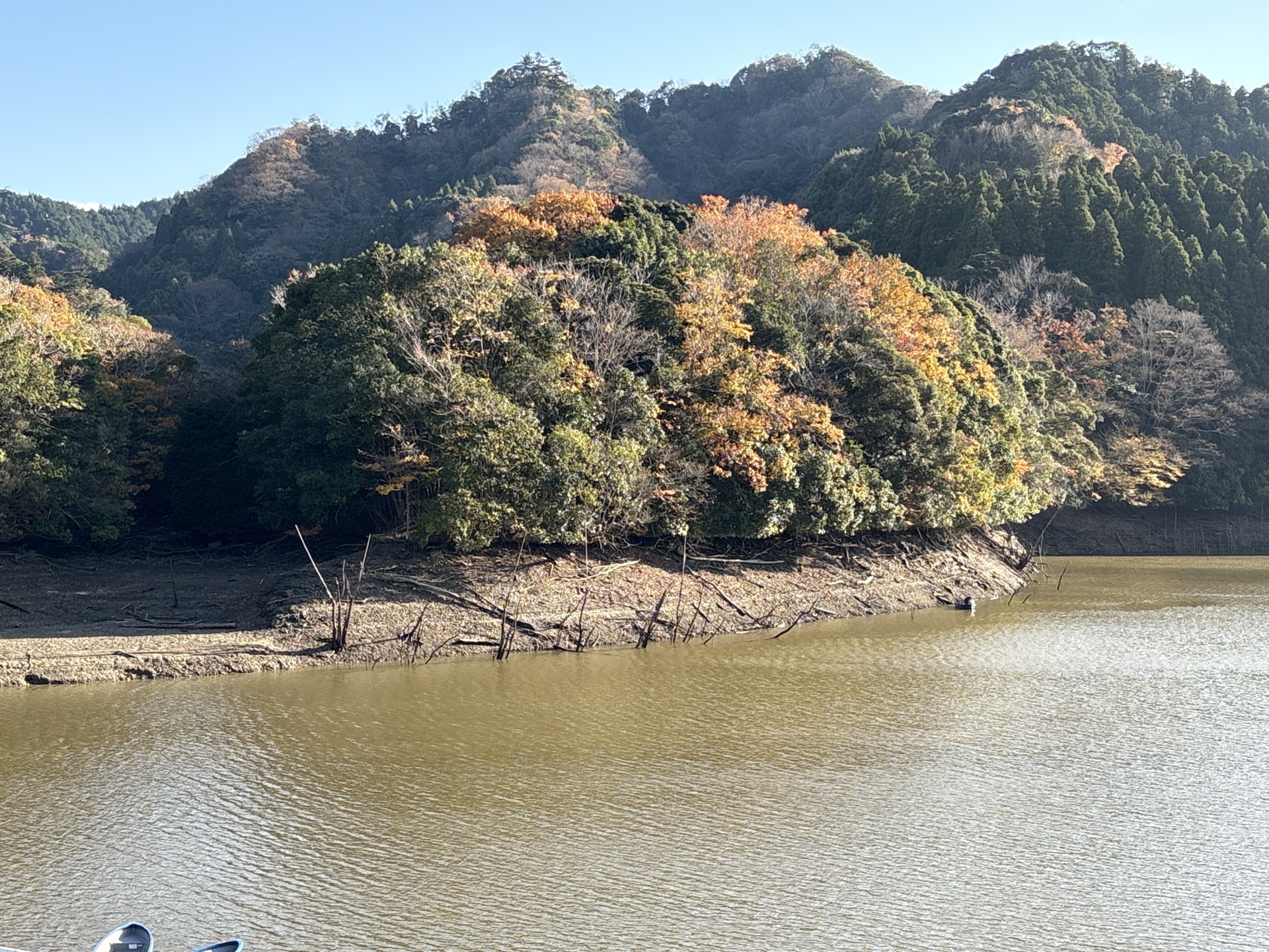 戸面原ダム 戸面原ダムボートセンターの2025年12月1日のイメージ