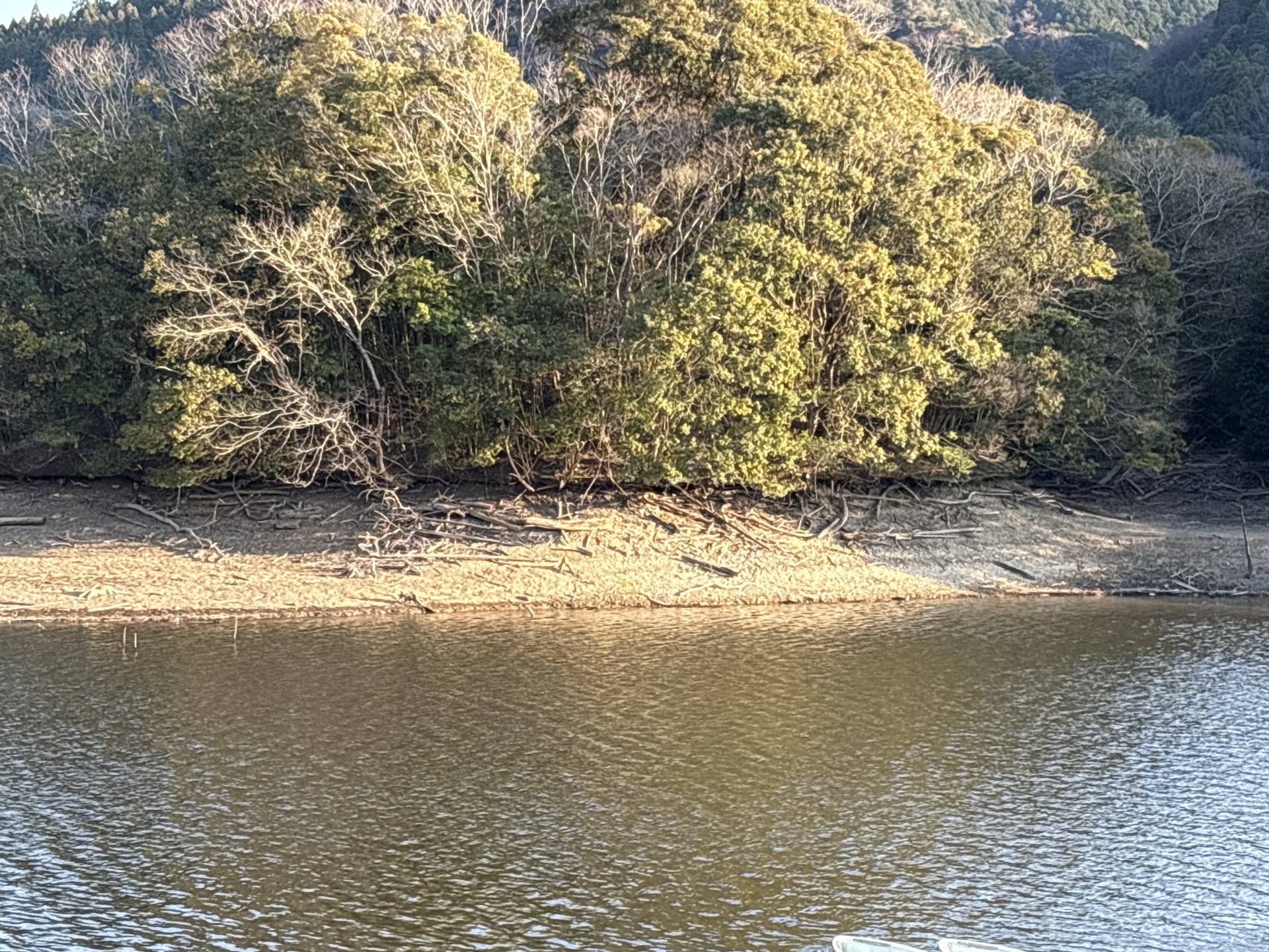 戸面原ダム 戸面原ダムボートセンターの2026年1月24日のイメージ