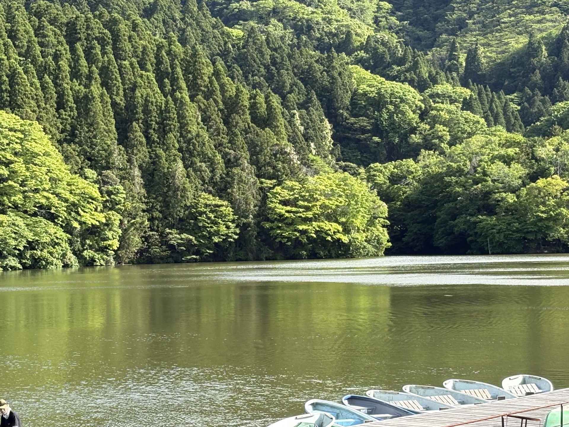 戸面原ダム 戸面原ダムボートセンターの2025年5月7日のイメージ