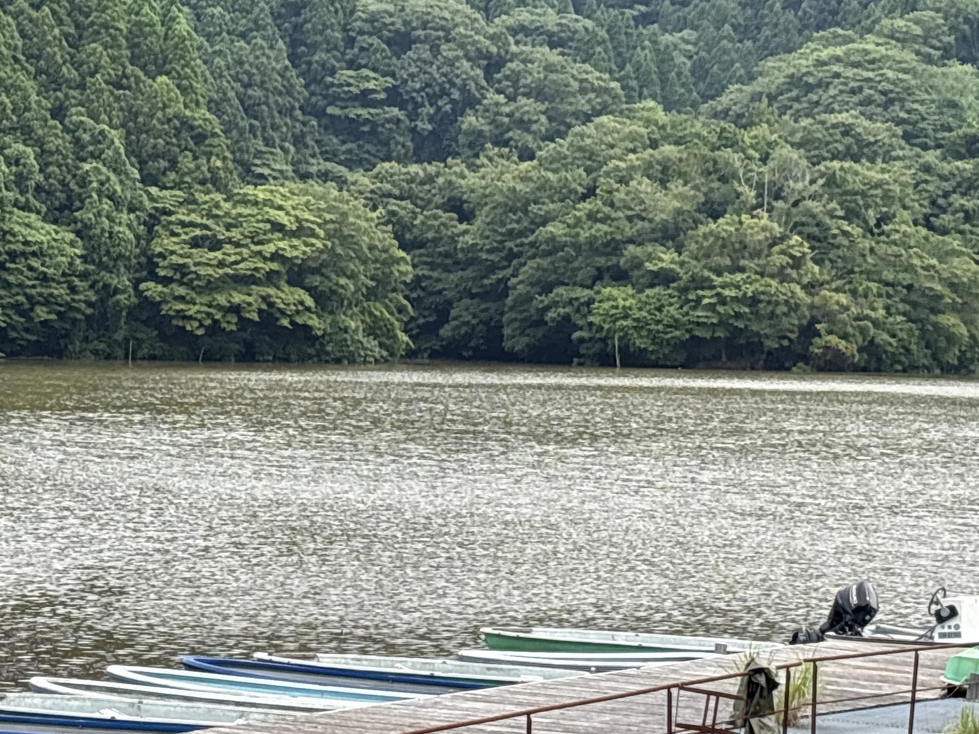 戸面原ダム 戸面原ダムボートセンターの2026年7月5日のイメージ