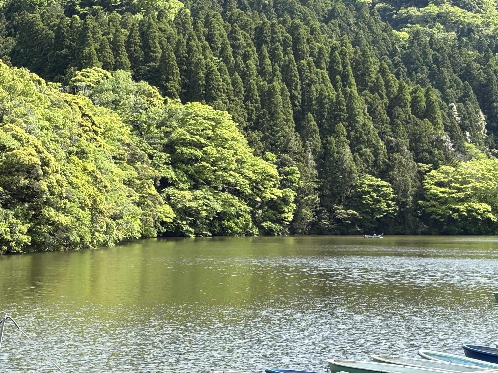 戸面原ダム 戸面原ダムボートセンターの2025年5月3日のイメージ