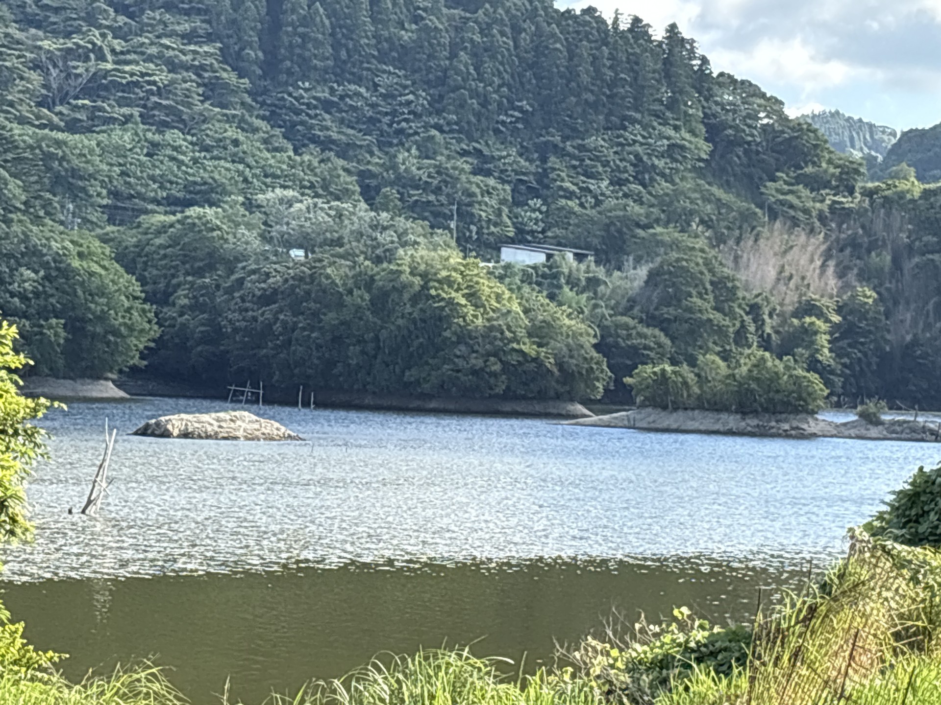 戸面原ダム 戸面原ダムボートセンターの2025年7月30日のイメージ