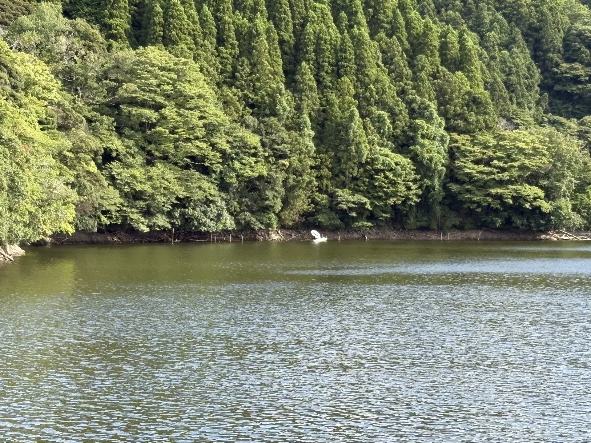 戸面原ダム 戸面原ダムボートセンターの2025年7月27日のイメージ