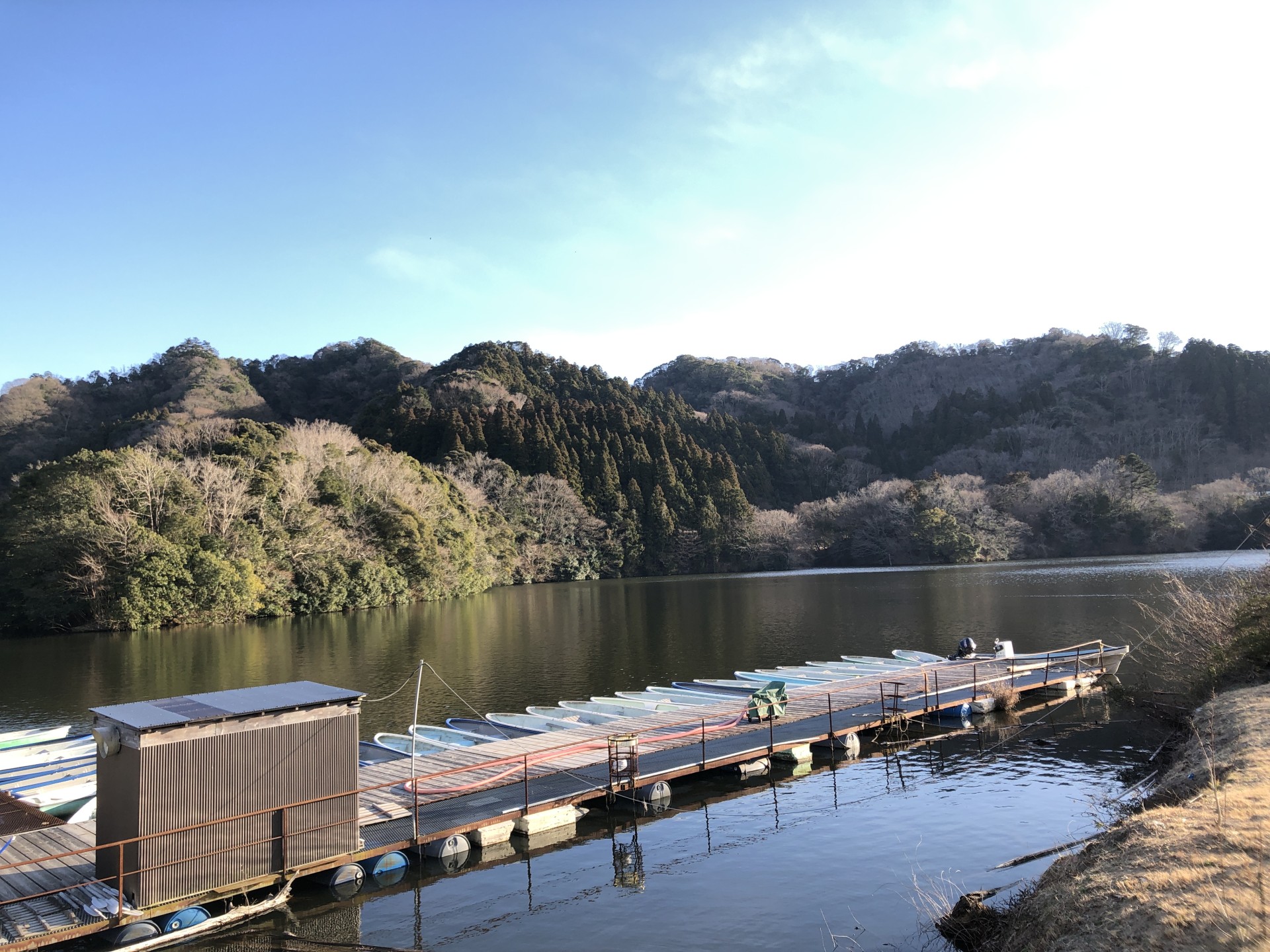 戸面原ダム 戸面原ダムボートセンターの2025年2月19日のイメージ