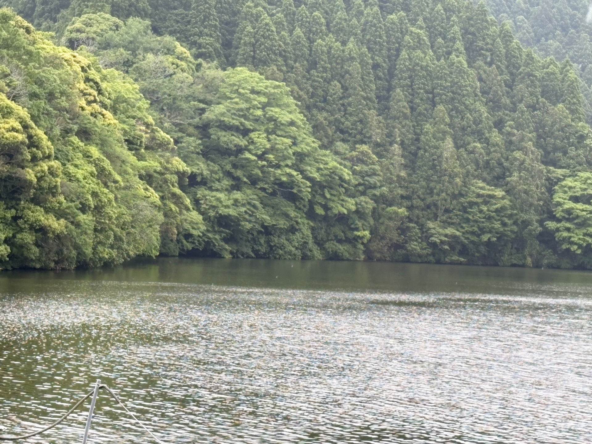 戸面原ダム 戸面原ダムボートセンターの2025年5月18日のイメージ