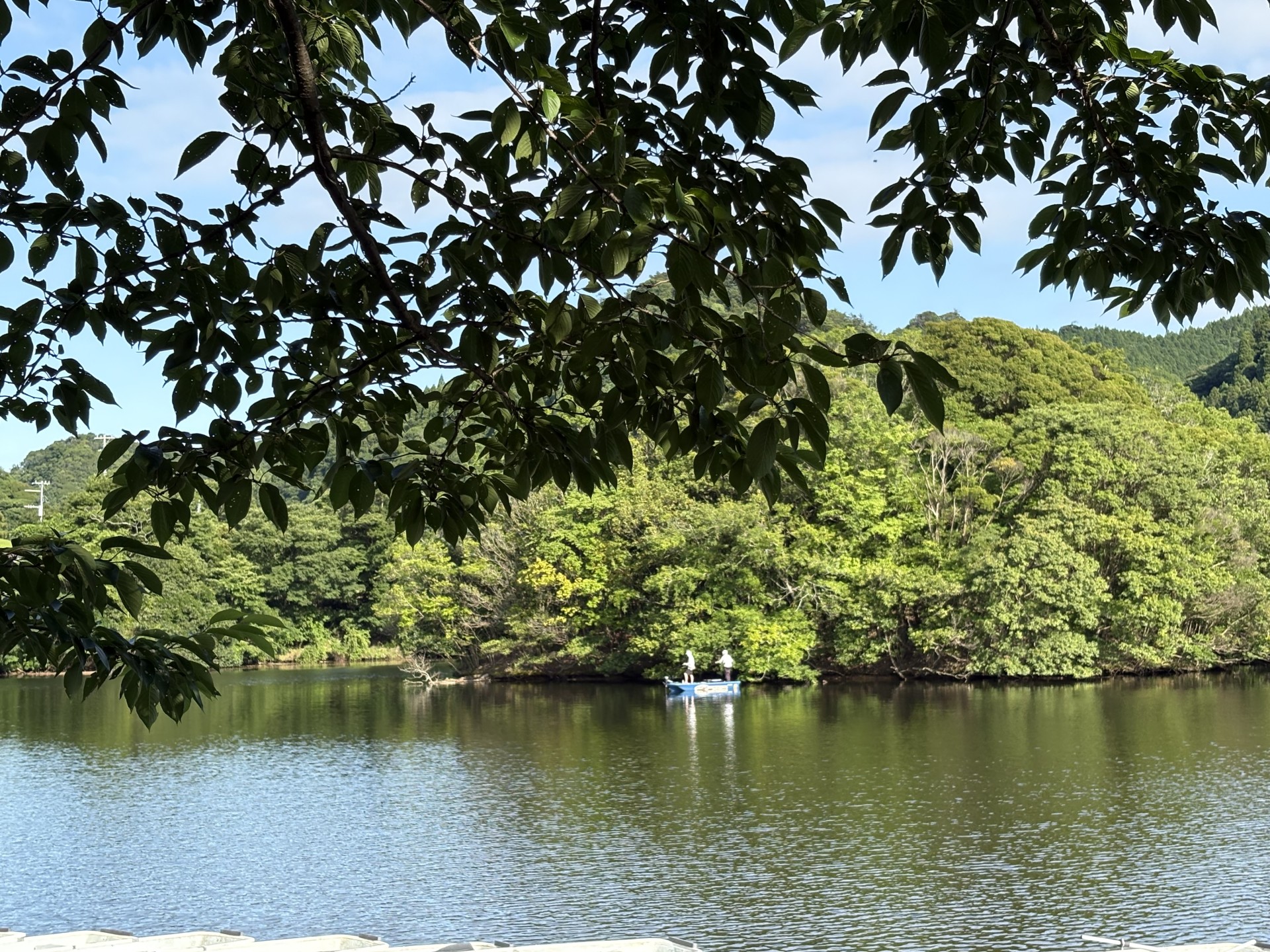 戸面原ダム 戸面原ダムボートセンターの2025年6月20日のイメージ