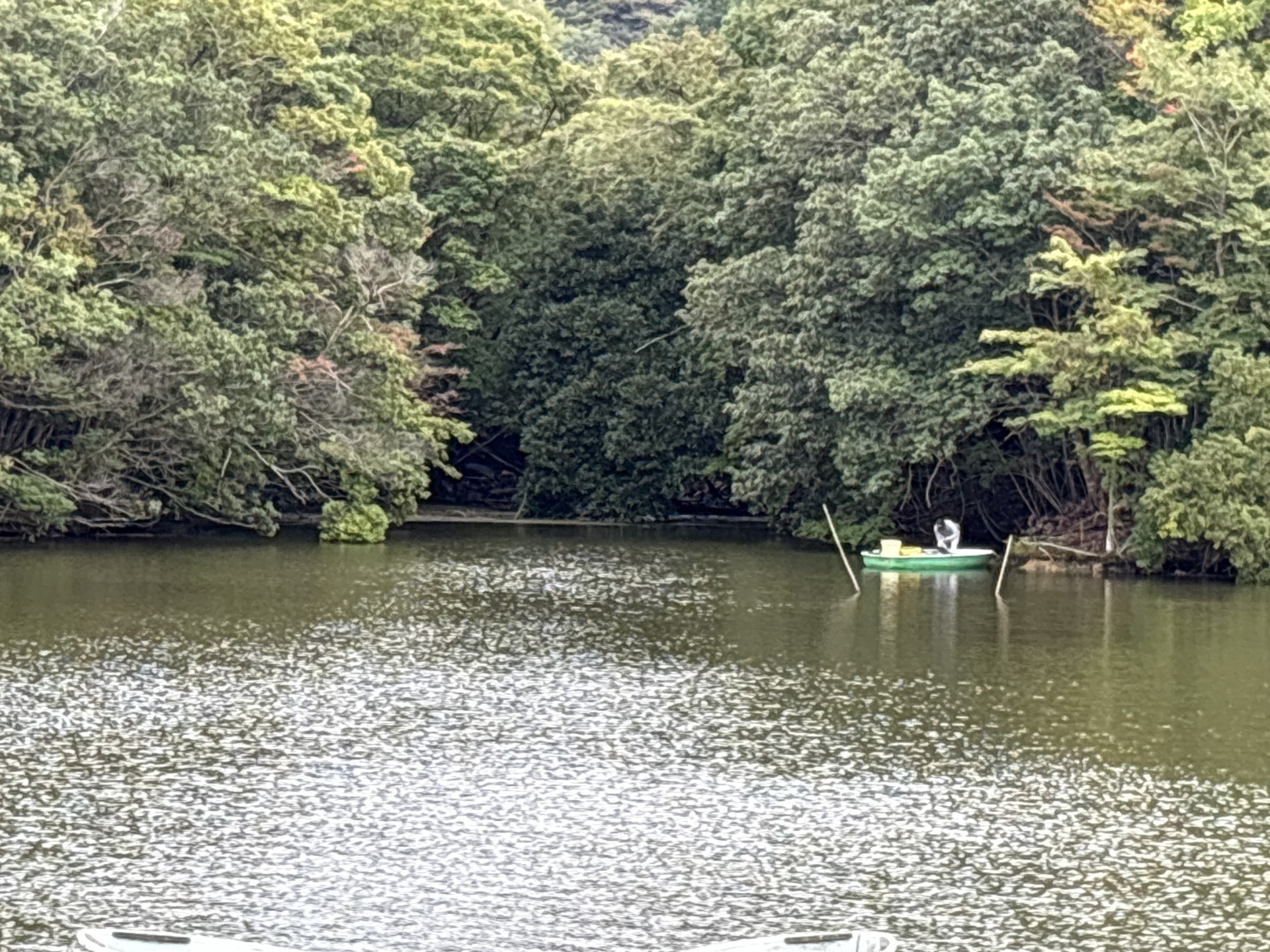 戸面原ダム 戸面原ダムボートセンターの2025年10月13日のイメージ