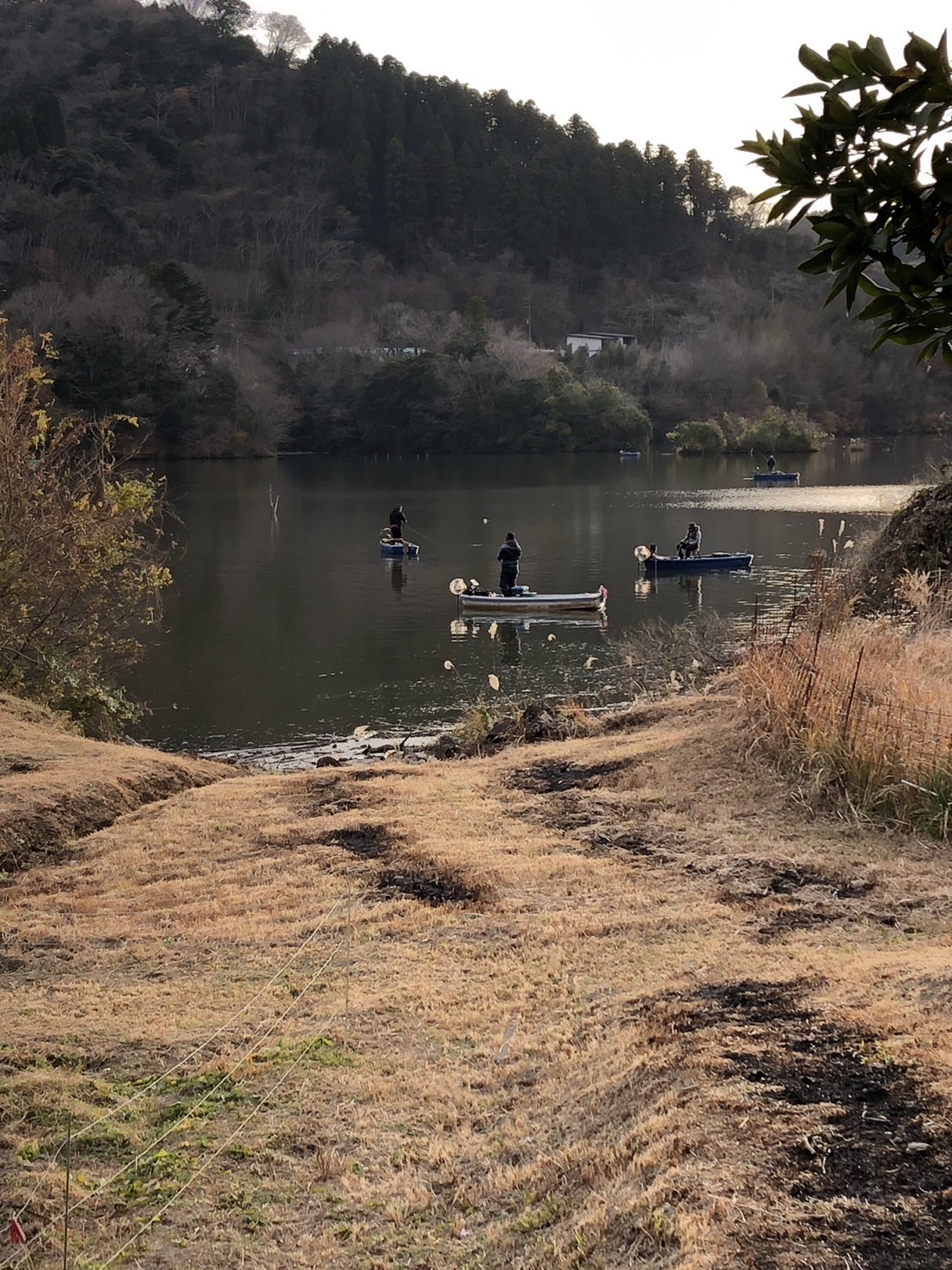 戸面原ダム 戸面原ダムボートセンターの2024年12月30日のイメージ