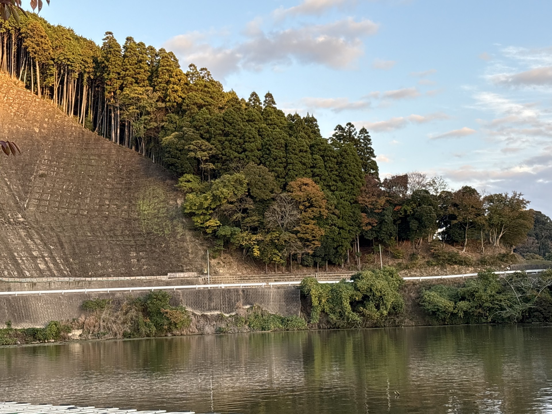 戸面原ダム 戸面原ダムボートセンターの2025年11月19日のイメージ