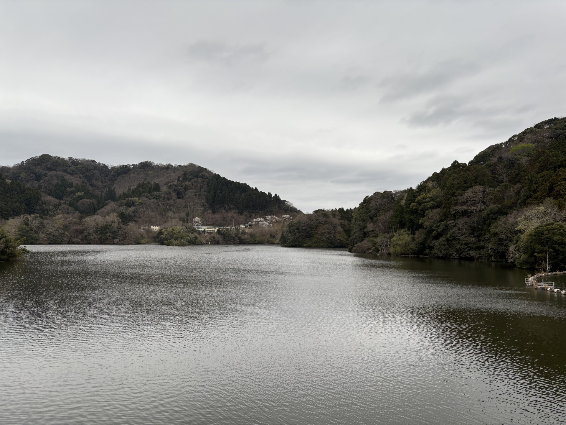 戸面原ダム 戸面原ダムボートセンターの2025年3月31日のイメージ