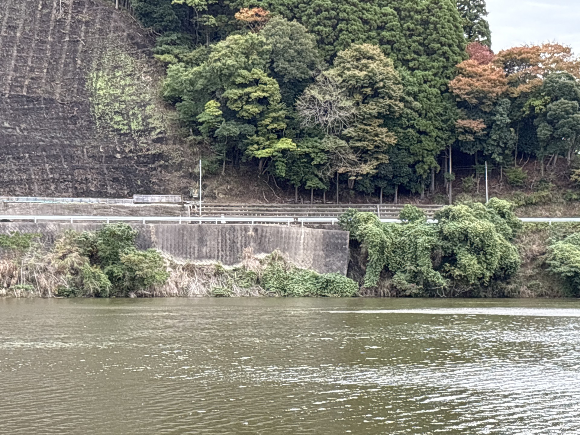 戸面原ダム 戸面原ダムボートセンターの2025年11月2日のイメージ