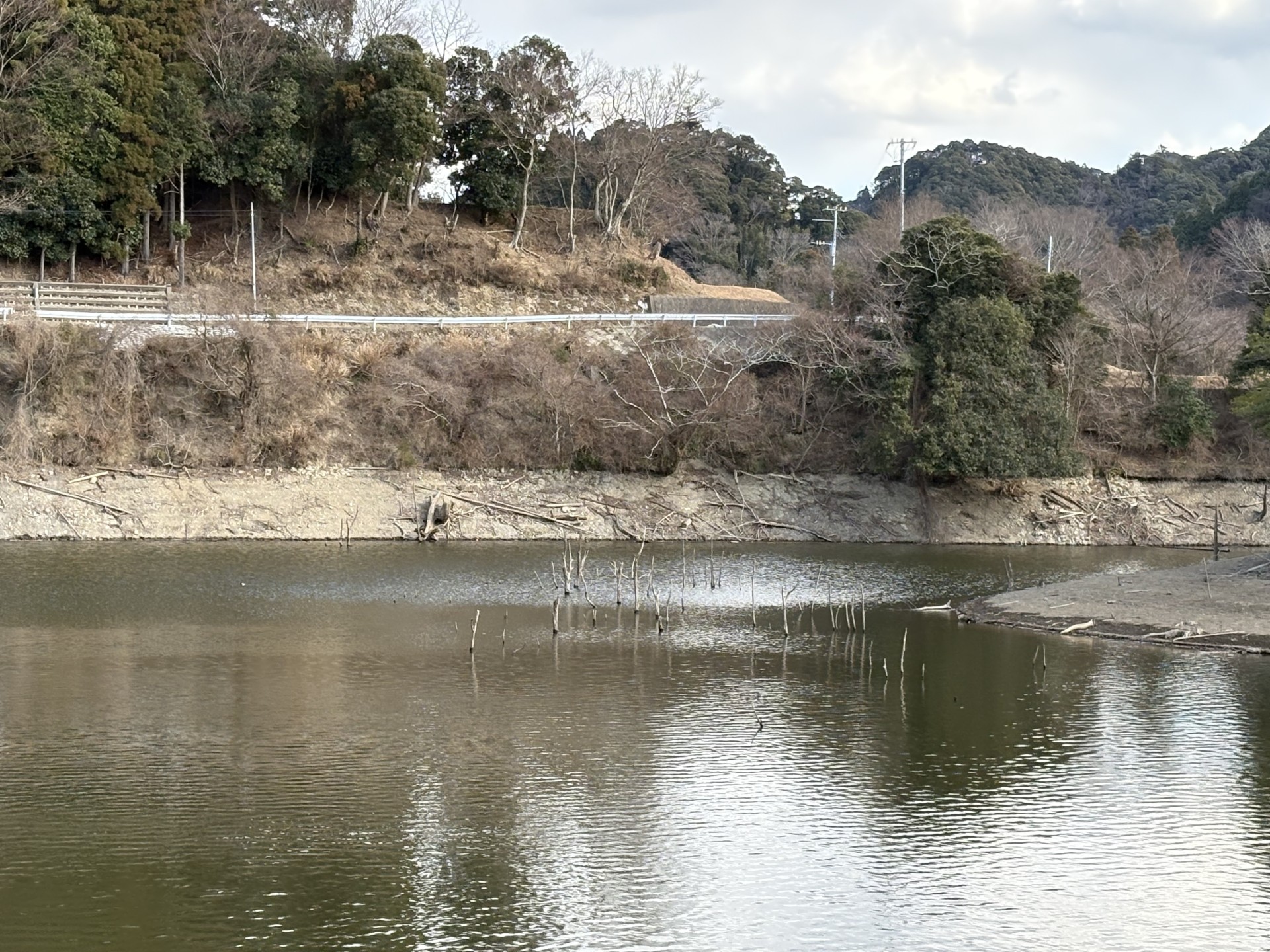 戸面原ダム 戸面原ダムボートセンターの2026年1月25日のイメージ