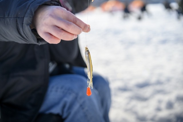 ワカサギ釣りイメージ画像1