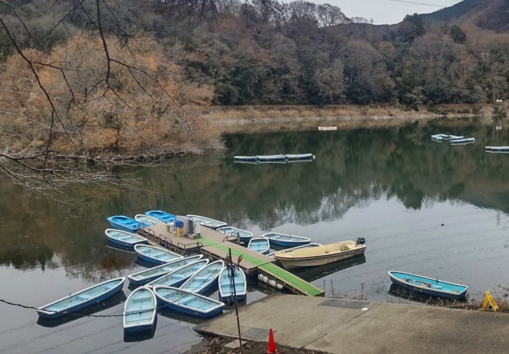 沼本ボート